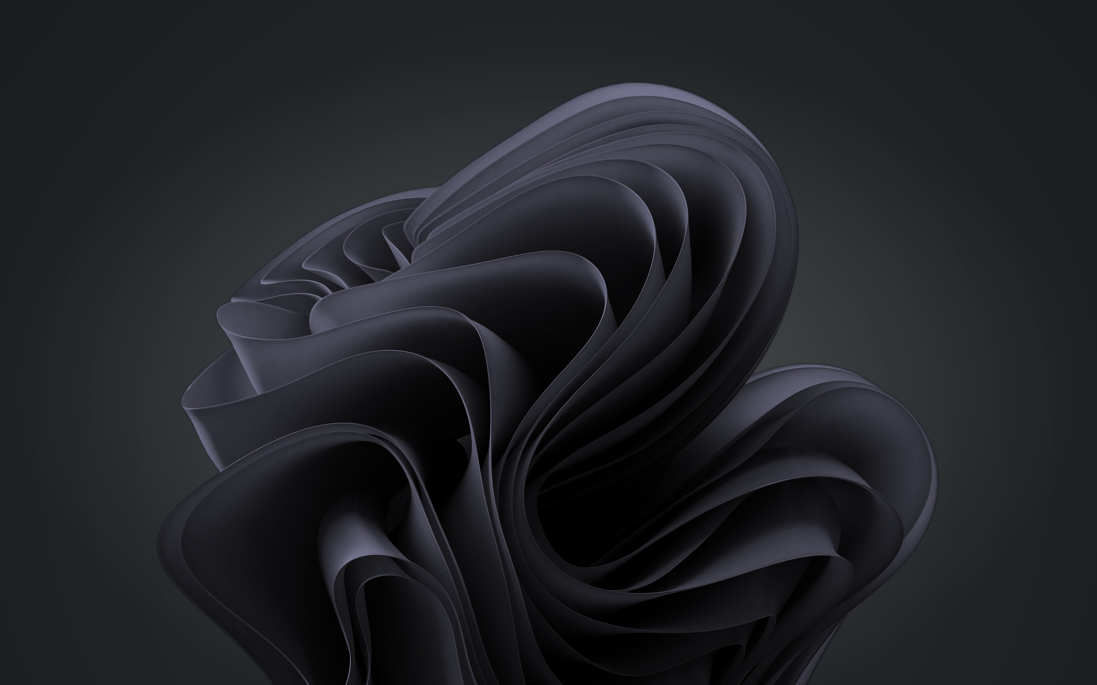 Coal